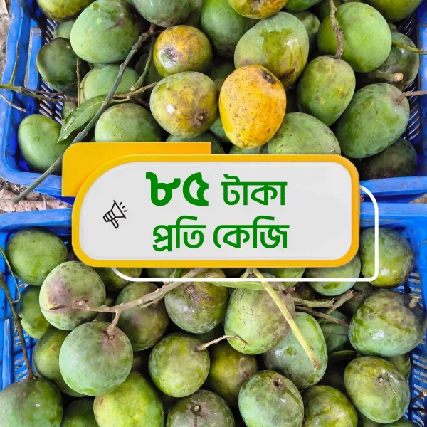 রাজশাহীর হিমসাগর আম- ২০ কেজি (প্যাকেজিং এবং ডেলিভারি চার্জ সহ)